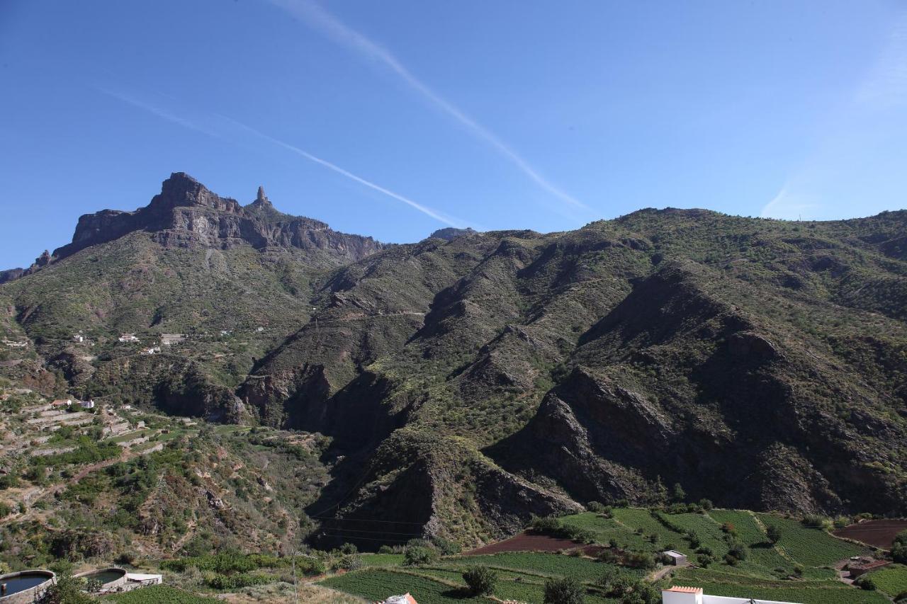 Vacacional La Tea The Best Location And The Best Views Tejeda  Extérieur photo