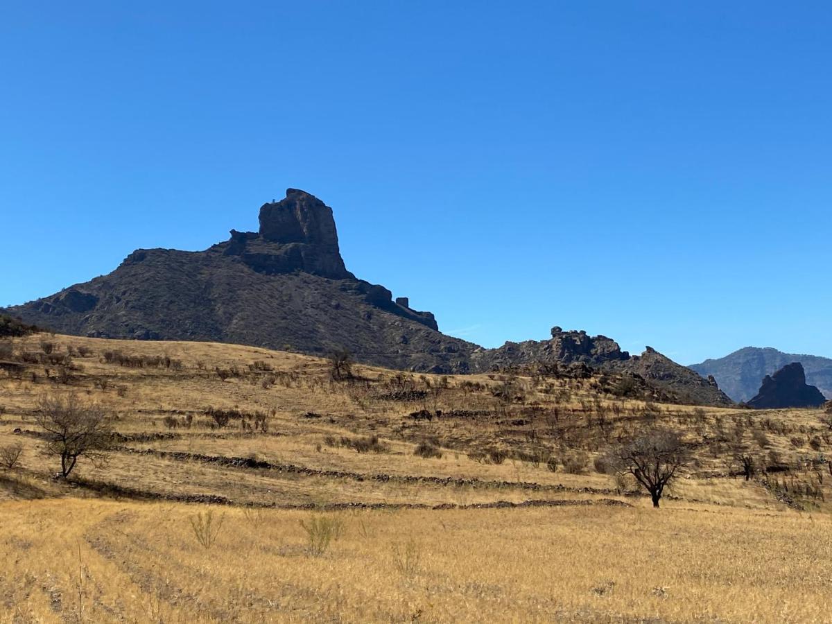 Vacacional La Tea The Best Location And The Best Views Tejeda  Extérieur photo